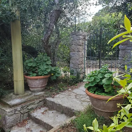 Casa Degli Ulivi Apartment *